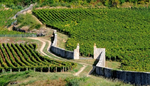 Rousseau Clos Saint Jacques